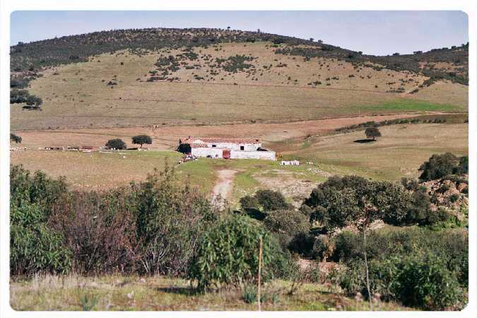 Cortijo de Placido